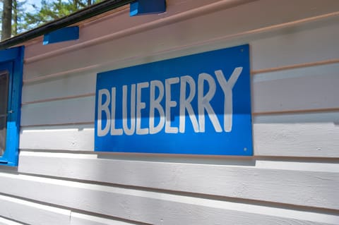 Blueberry cabin signal