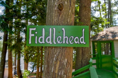 FIDDLEHEAD cabin signal