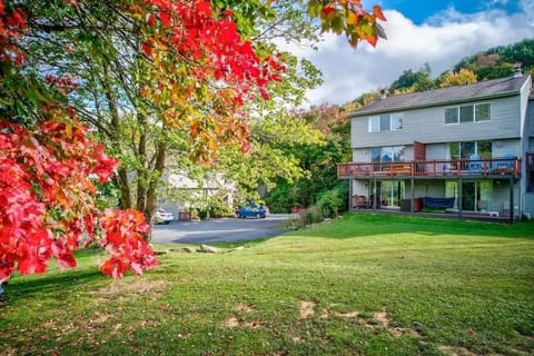 The fall leaves are spectacular!