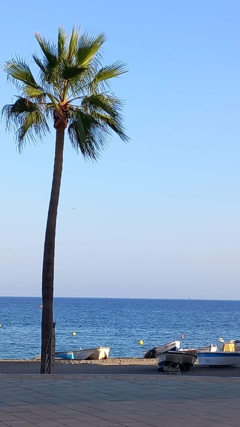 Beach/ocean view