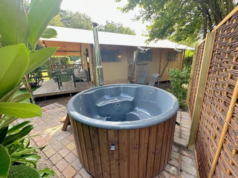 Wellness