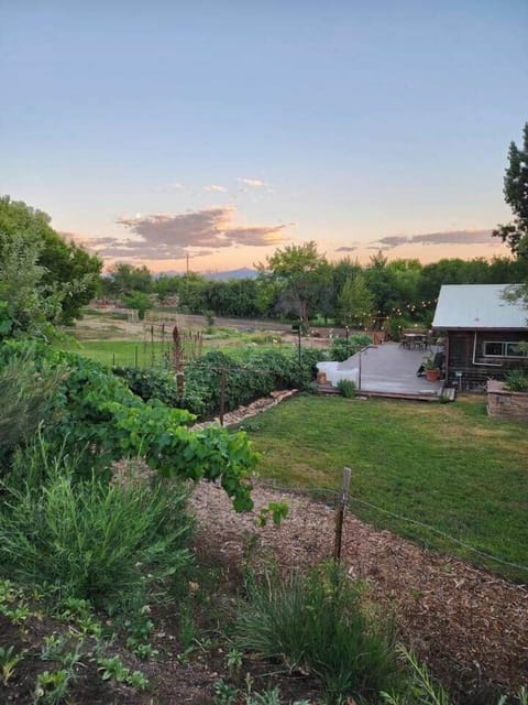 Deck and yard