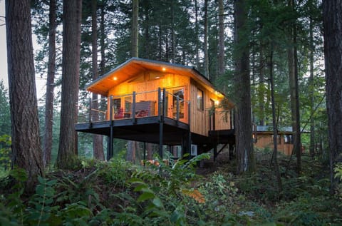 Embrace the serenity of a magical treehouse, nestled in the heart of a lush forest.