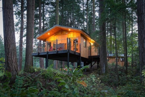Embrace the serenity of a magical treehouse, nestled in the heart of a lush forest.