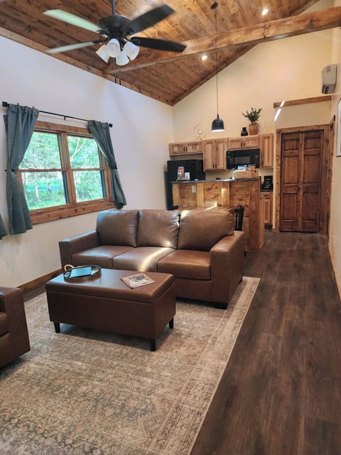 Living Room and Kitchen