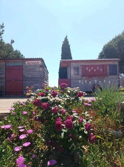 Bike Hire & Well Being