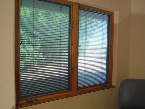 Looking out the window, trees outside the smaller bedroom.