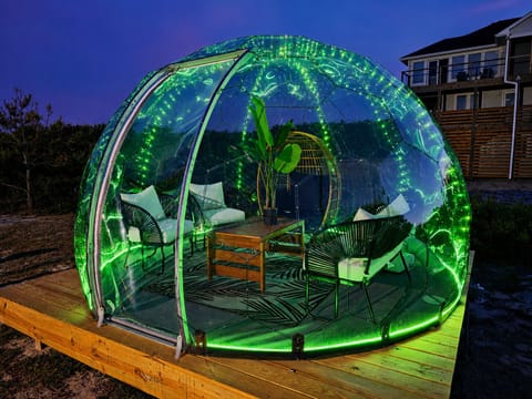 New Hypedome in 2026