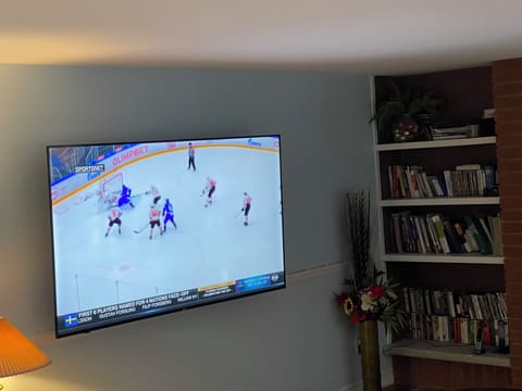Television