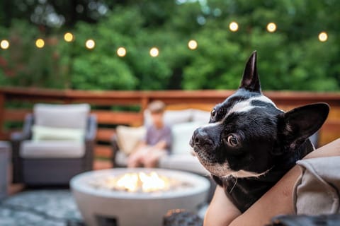 Trailside Goes Pet Friendly! Bring up to 2 pups (25 lbs or less). We provide bowls, blankets & eco-friendly poop bags—you just cover the fee and love. 🐾Guest responsible to clean up after pet(s).