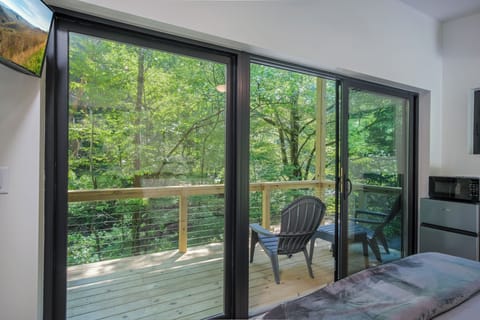 Overlooking the French Broad River (photo taken before hot tub was installed on porch)