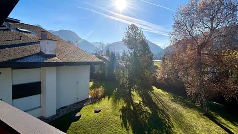 back yard view in summer