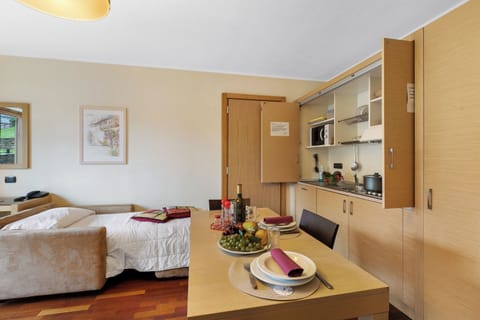 Sofa bed (sleeping area for studio)