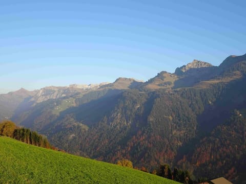 Haus Mura - Ferienhaus mit Traumaussicht House in Vorarlberg, Austria