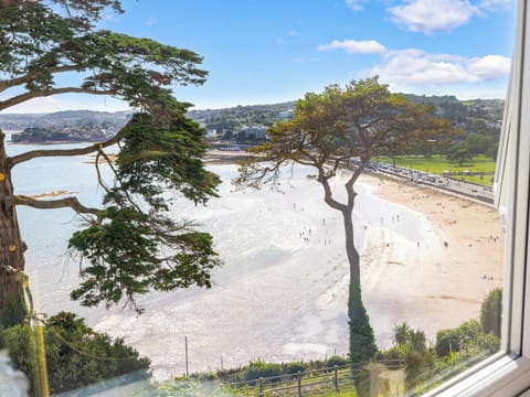View | Tides Reach, Torquay Seafront