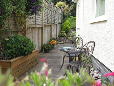 Oakvale - Oak Leaf, Braithwaite