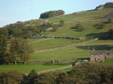 Cottage setting | Aysgill Cottage, Gayle near Hawes