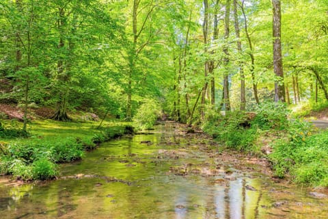 creek just steps from front yard