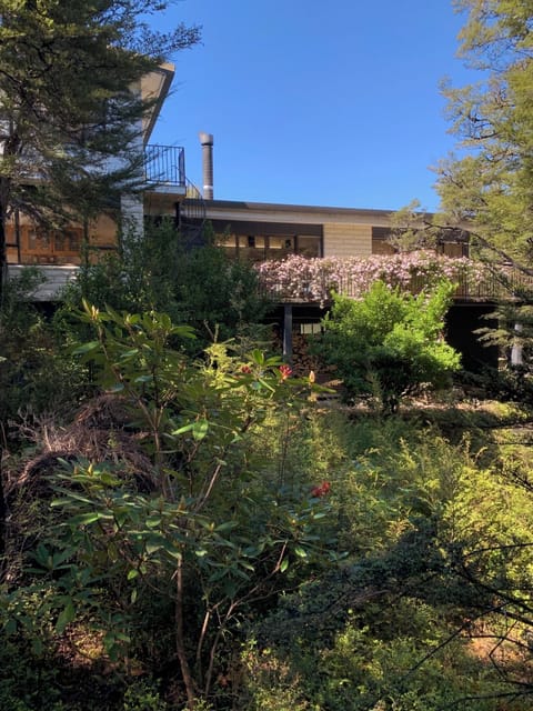 The house is privately located and surrounded by native bush