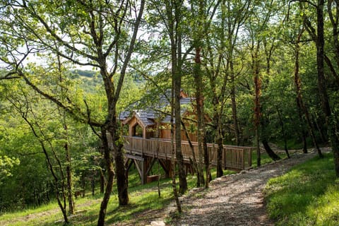 Lodge