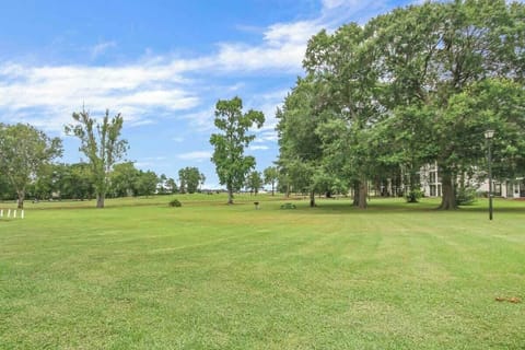 34 web or mls IMG 1701