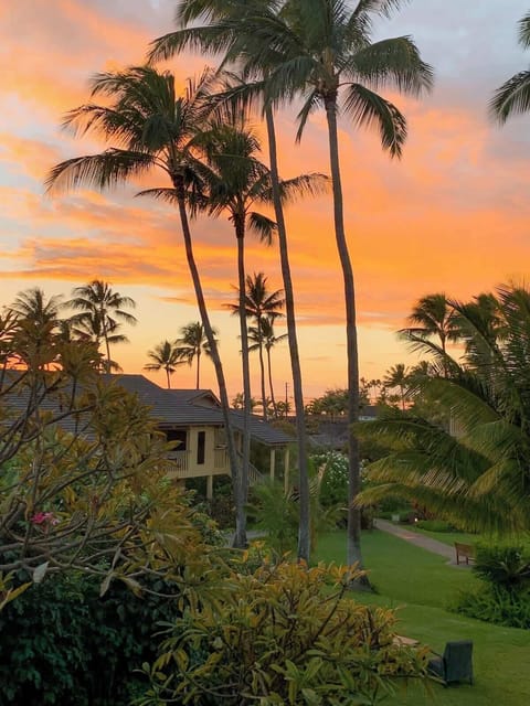 Close to the Ocean