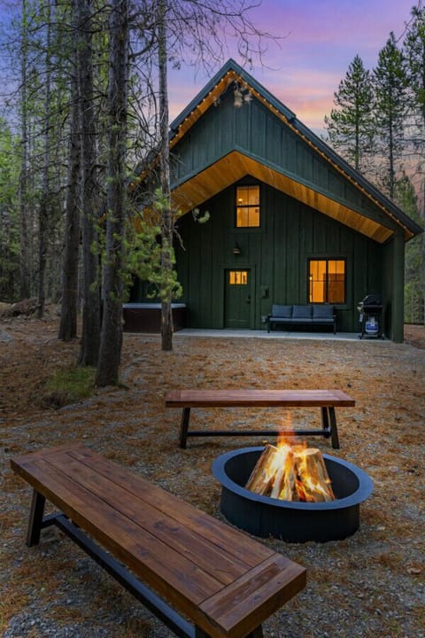 Moody Moose - Backyard