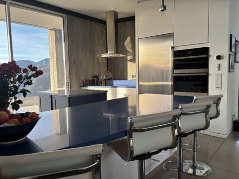 Sleek high-end appliances, cabinets and countertops.