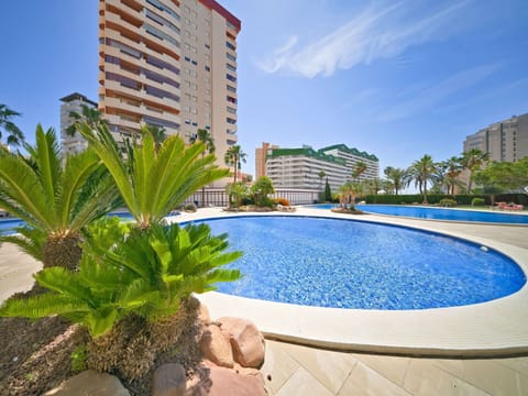 Sky, Water, Plant, Building, Cloud, Blue, Azure, Tree, Arecales, Swimming Pool