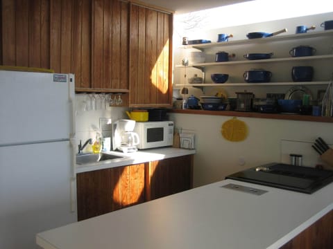 Extra Kitchen (second microwave, refrigerator and stove)