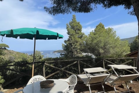 Appartamento Collina sul Golfo 14 Apartment in Tuscany