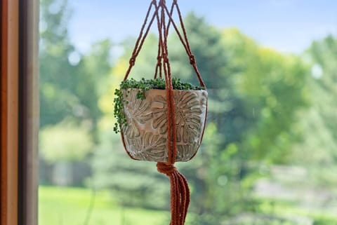 Add a touch of greenery to your stay with charming hanging plants.