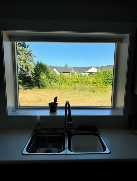 The view of the pond