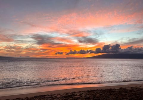 As day fades, the sky ignites—this breathtaking Maui sunset wraps the shoreline in a painter’s dream   