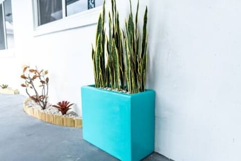 Interior designed decorated