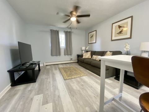 Living room with smart tv