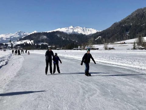 Vacation apartment Dreiländereck - Holiday apartment Apartment in Villach