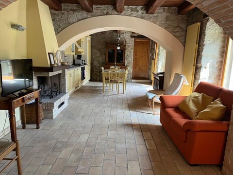 Autumn, Spring, Summer