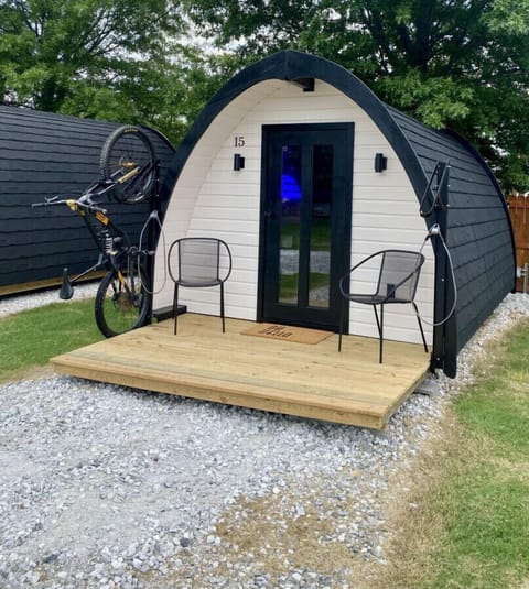 #15, Kings River Cabin