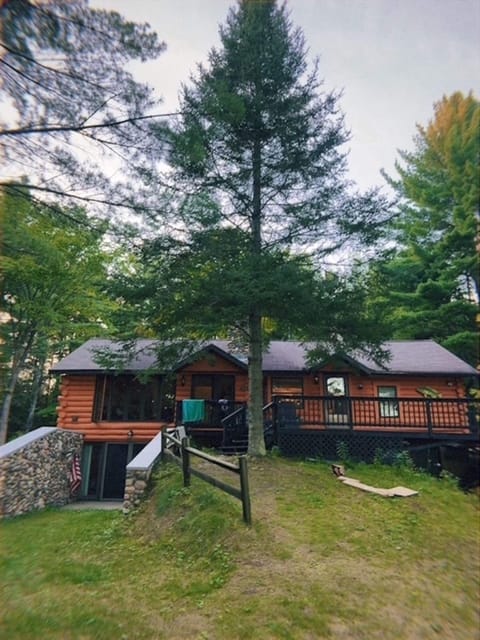 Back of Cabin/Walk-out basement
