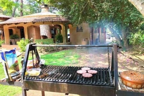 Asador tipo Argentino
