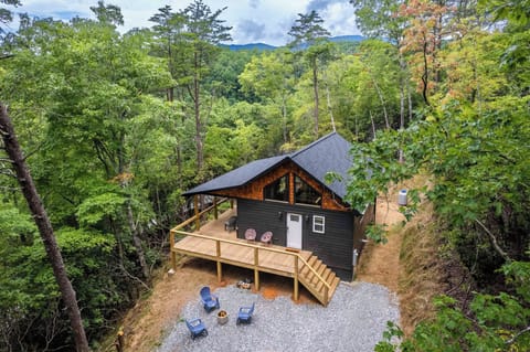 Welcome to The Falcons Nest