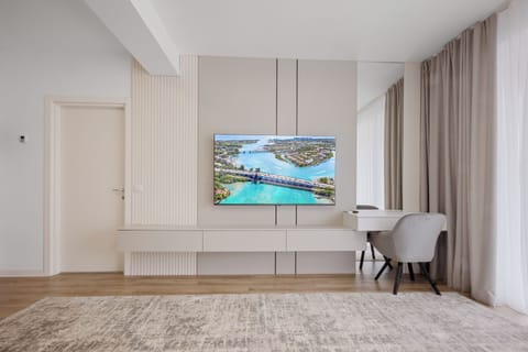 living room TV couch bed 