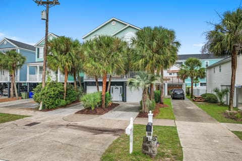 Charming coastal neighborhood with tropical palm trees and elevated beach houses creating a perfect seaside community atmosphere.