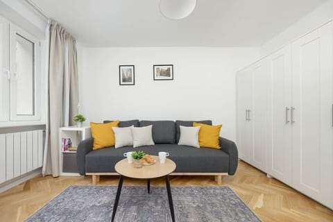 Modern room with a sofa, Smart TV and spacious closets.