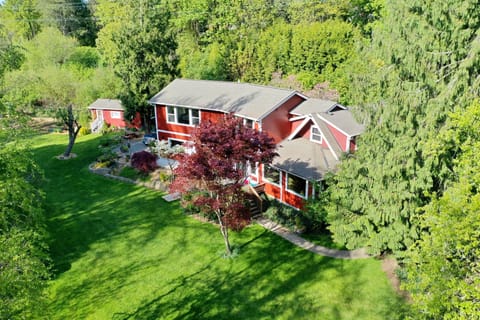 Front yard looking out at the creek and forest