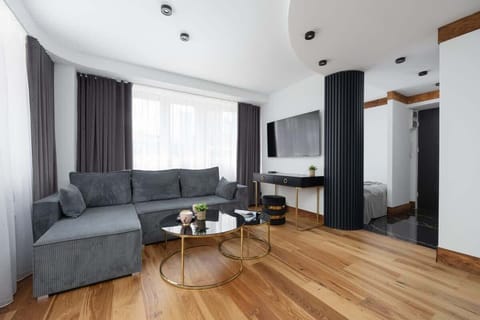 Living area with a double sofa bed and TV.
