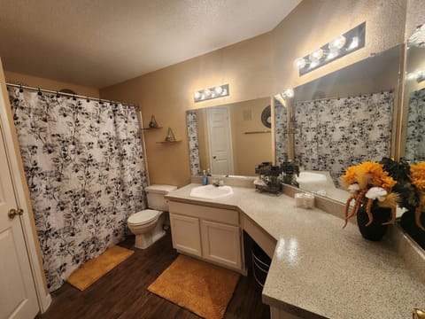 Bathroom with Jacuzzi Tub
