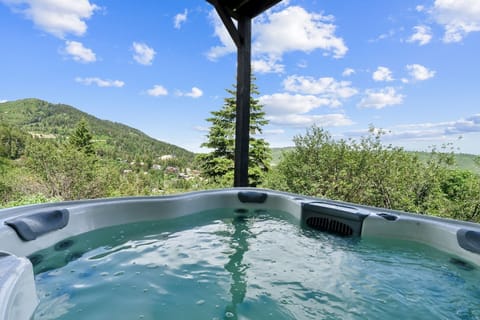 Tub, Hot Tub, Tree, Vegetation, Nature