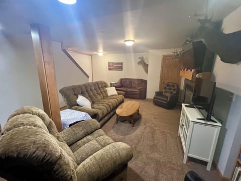 Basement living room